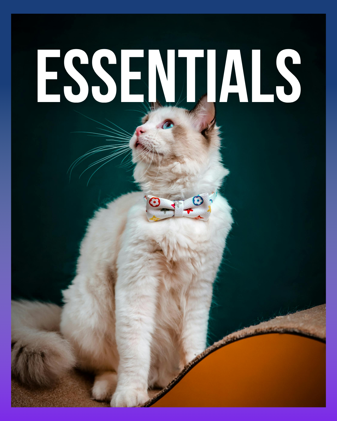 Pet Essentials